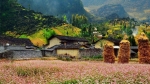 Hà Giang 2 Ngày 1 Đêm – Quản Bạ – Yên Minh – Đồng Văn